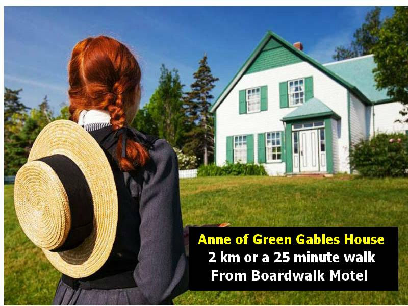 anne-of-green-gables-BWM Cameroni.jpg
