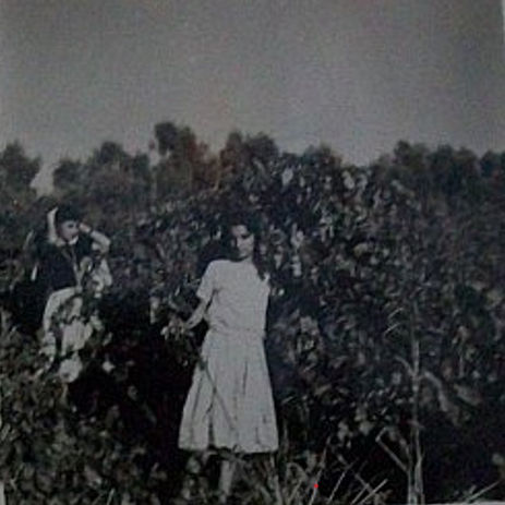 edibe sonay.jpg 2.jpg