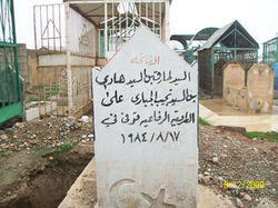 Seyid tarik