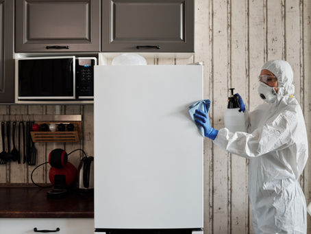 Scripps Networks News Feature: UV Light & Robotics 101