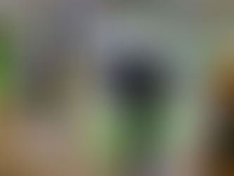 Are Remote Expert Robots Right for Your Business?