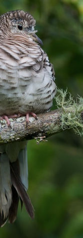 Screen Shot 2023-01-21 at 4.01.42 PM.png