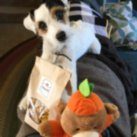 Large Bag of Mixed Treats