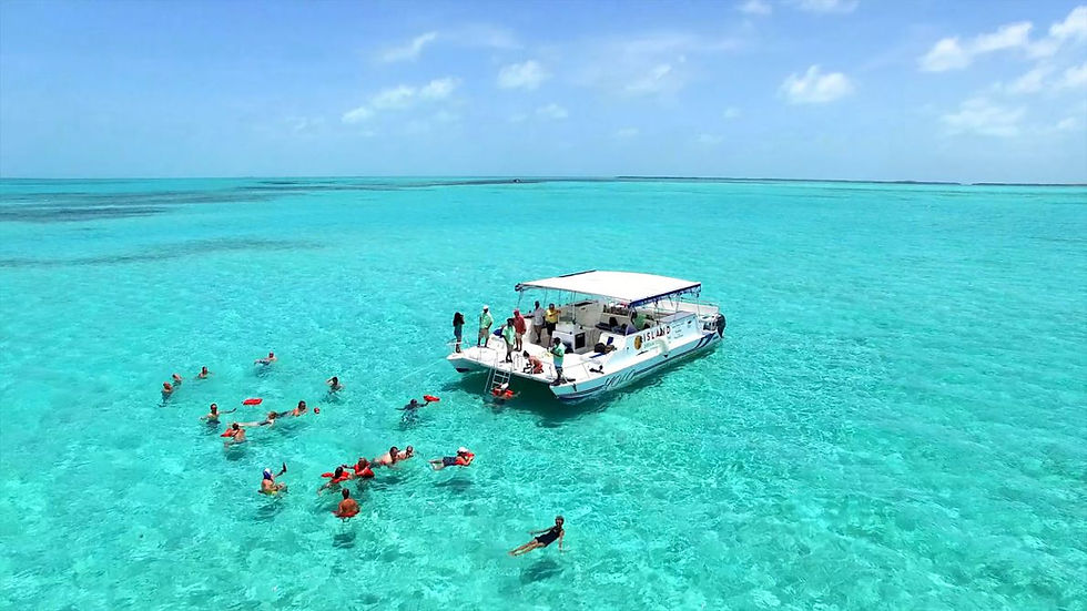 Pontoon, Snorkeling, Drinks & Lunch Adventure