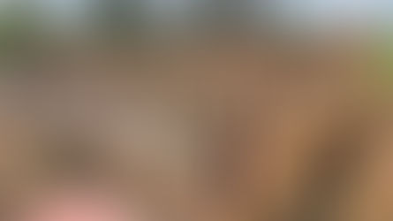 Basement and retaining wall formwork nearly complete!