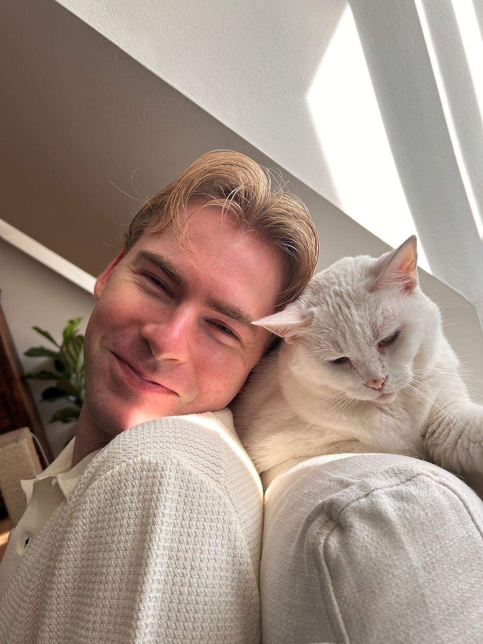 A struggling author and his perfect cat