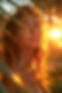 11-407d-ba35-0ec6727bdf71.png