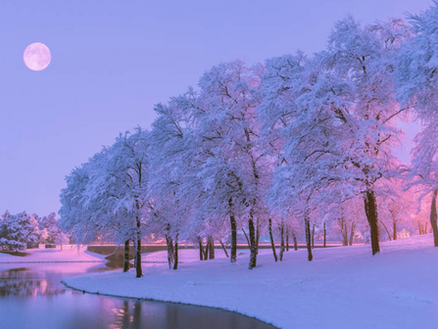 January-February 2025 Edition