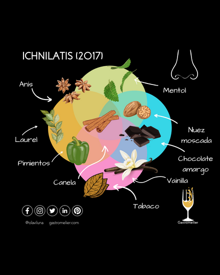 Ichnilatis 2017 olfato