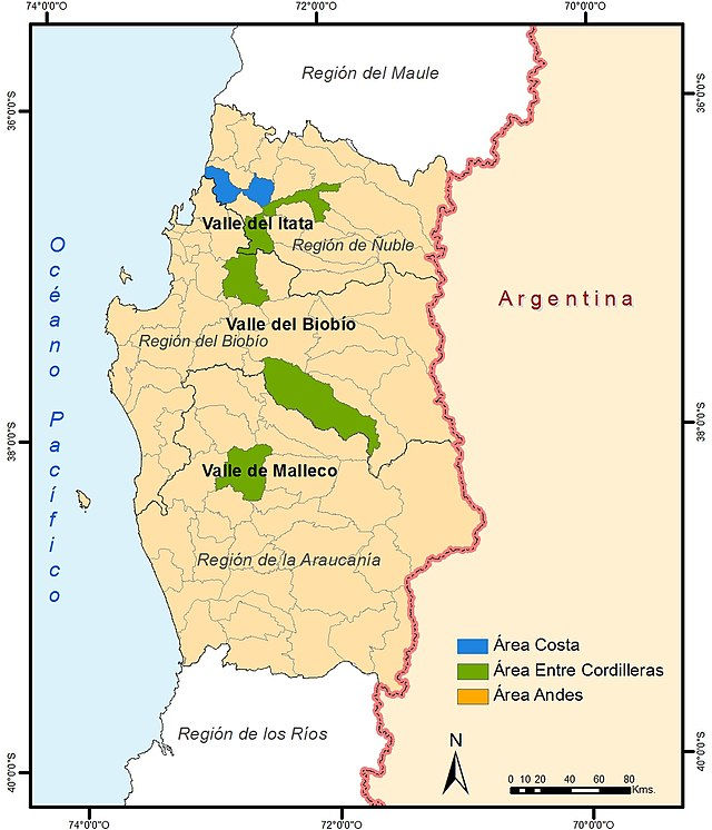 Mapa Región del Sur vino Chile
