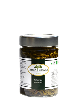 Vaso%2520Salicornia%25202_edited_edited.