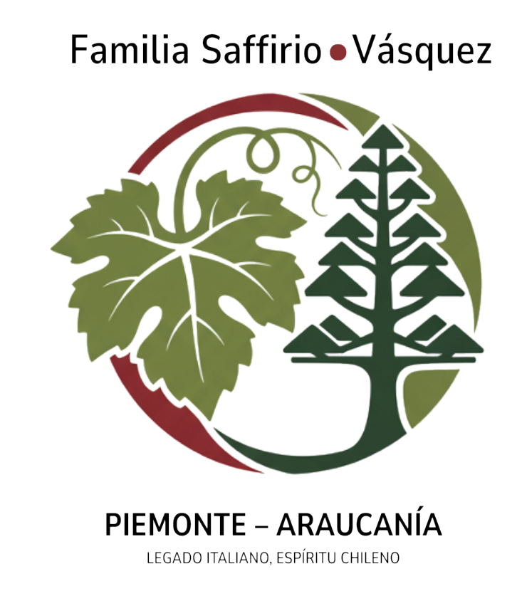 Logo FSV 4_edited.png