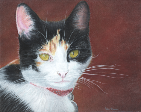 29.Gary's Cat