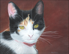 29.Gary's Cat