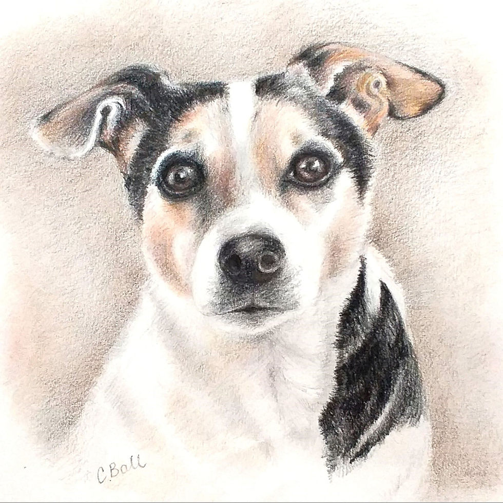Who, Me - Pencil Crayons - NFS