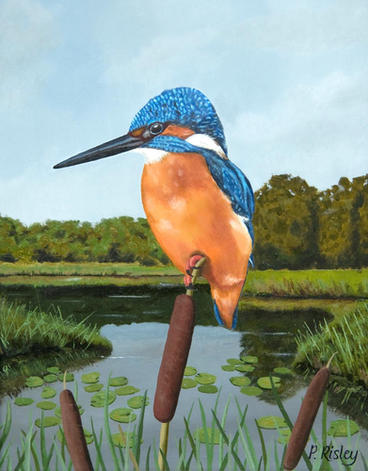 45. The Kingfisher