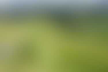 Experience the Magic of St. Cuthbert's Way: from Melrose to Holy Island in 4-5 days