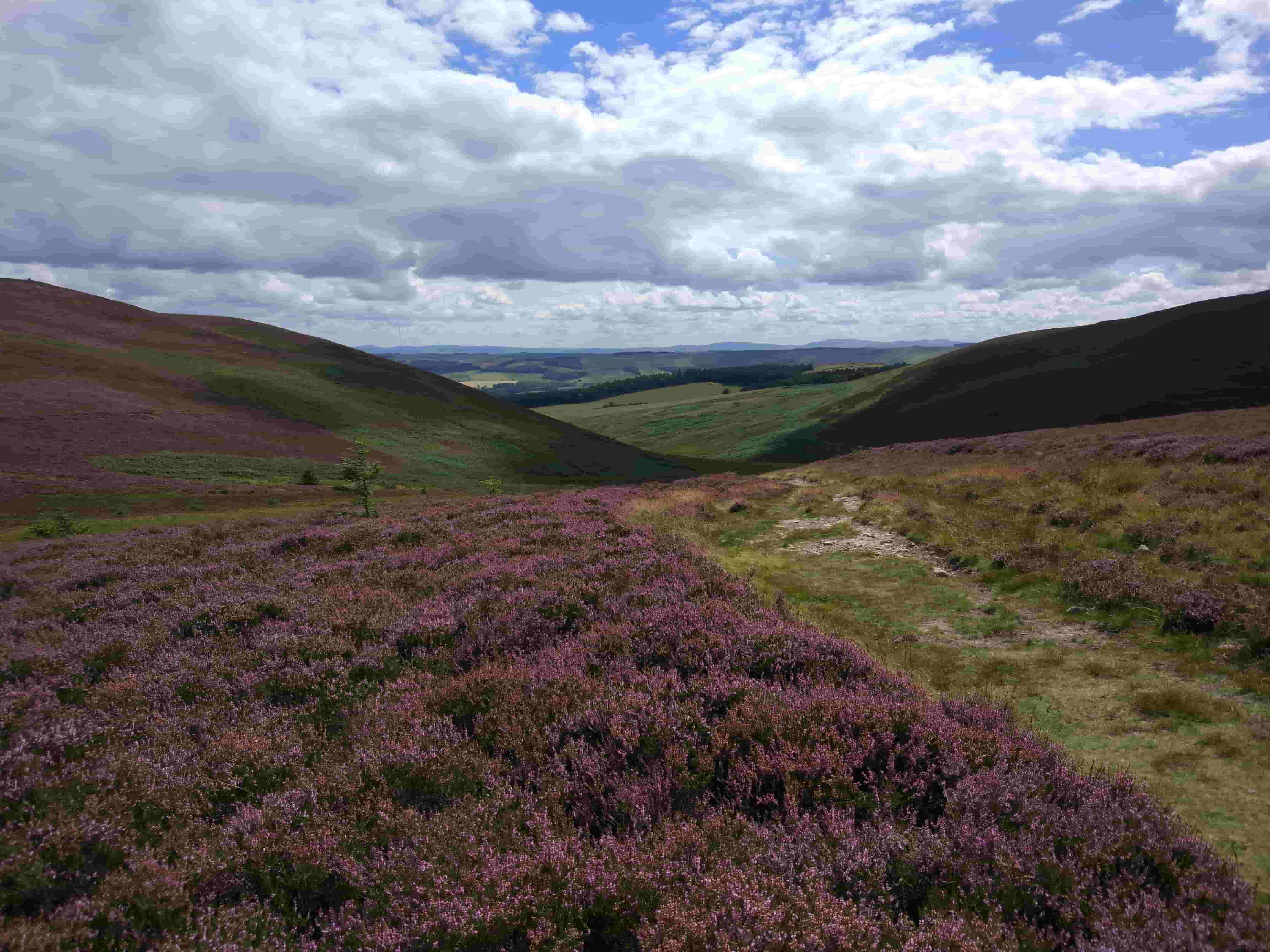 Bowden House Boutique Bed & Breakfast B&B Melrose St. Cuthbert's Way