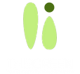 the green 원본.png