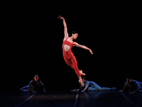 Un stage de danse, une compagnie professionnelle et une sortie au Zénith