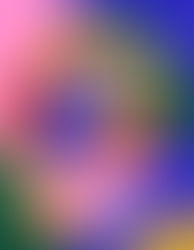 “The Vanishing Half” | Reviewed by Chris Stuckenschneider