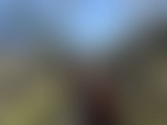 Get Ready — The 2026 Trail Season Is Shaping Up!