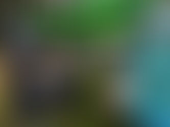 The Bear Fair Is Back — April 25, Centennial Park