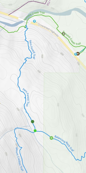 Fern Forest Map_edited.jpg