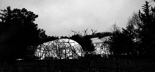 AprilFarm-1269_edited.jpg