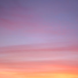 The Sky Blushed