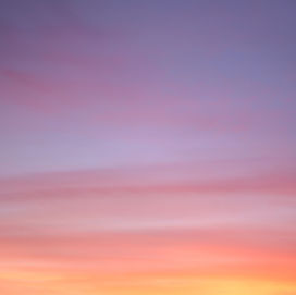The Sky Blushed