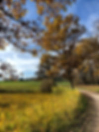 herbst.jpg