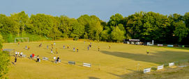 Wide view of a football pitch during a match, with players in yellow-and-black kits and navy kits spread across the sunlit grass field. Spectators stand along the wooden fence, and a dense line of green trees borders the pitch under a clear blue sky.