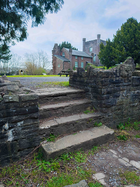 Rough stone steps lead upward through a gap in a low, weathered castle wall and into an open area of the historic grounds. The uneven steps and surrounding masonry dominate the foreground, with grass and small plants growing around their edges. Beyond is a broad gravel area and lawn containing a wooden picnic table. A substantial red-brown brick building stands in the middle distance, incorporating older stonework and backed by a tall square crenellated tower. Broken sections of ancient masonry remain visible beside the building, while mature evergreen and deciduous trees surround the site. The mixture of preserved building, ruined fortifications and informal visitor space illustrates how the surviving castle structures are arranged within the landscaped grounds.
