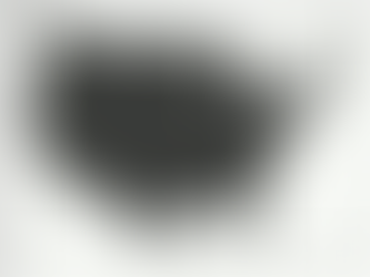 This IS What They Voted For