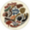 Nothing about us without us Logo