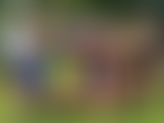 Winnaars Ka&Ko partij