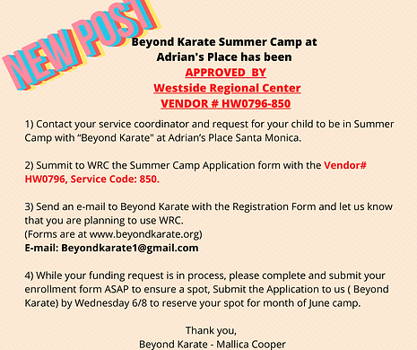 Beyond Karate - Summer CAMP WRC (Facebook Post).png