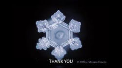 The effects of gratitude