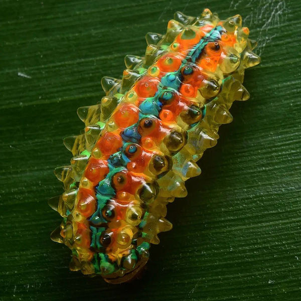 Jewel caterpillar