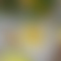 Entre passion et service: comment transformer un hobby en offre irrésistible