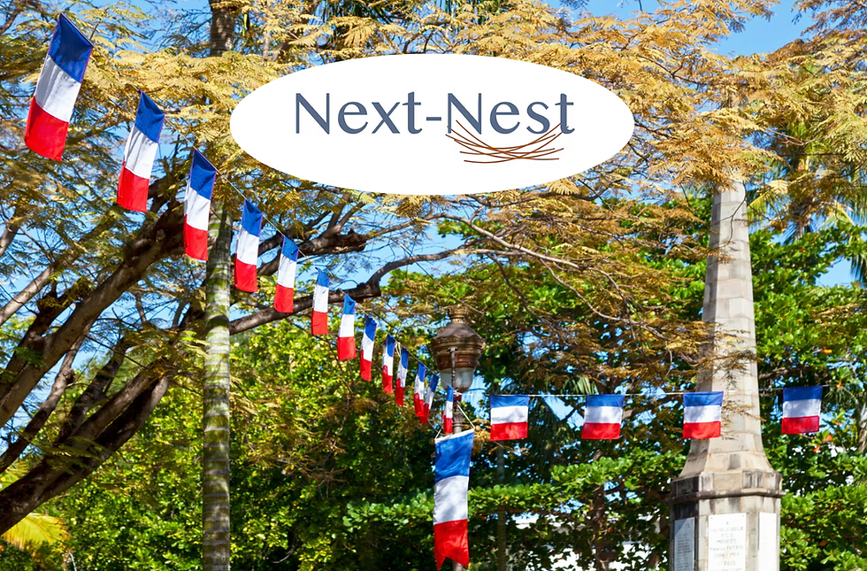 The History of Bastille Day