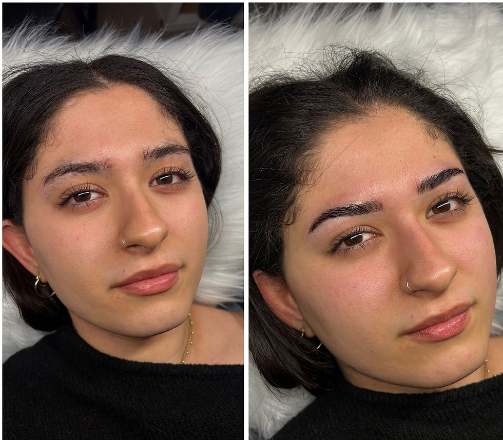 brows 2026_edited.jpg