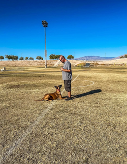 Las Vegas Dog Training