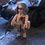 Miniatura: US SUB.ARMORED CAVALRY(FRANCE-1944) REF-0173