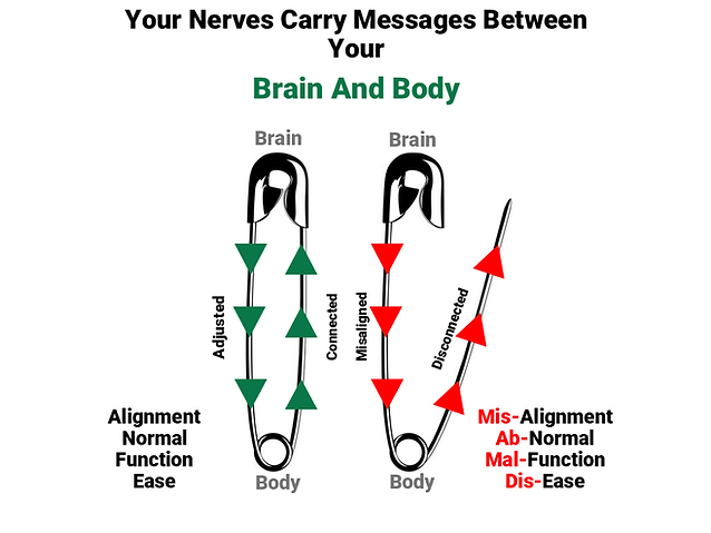 The Chiropractic Safety Pin Analogy