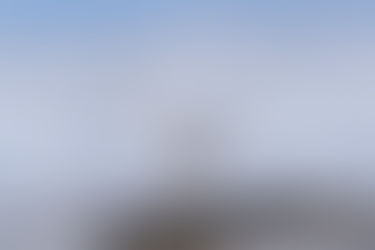 A happy little grey and white seagull shakes water off his feathers. hes standing on a pitted rock with a smooth surface. The ocean is in the background.