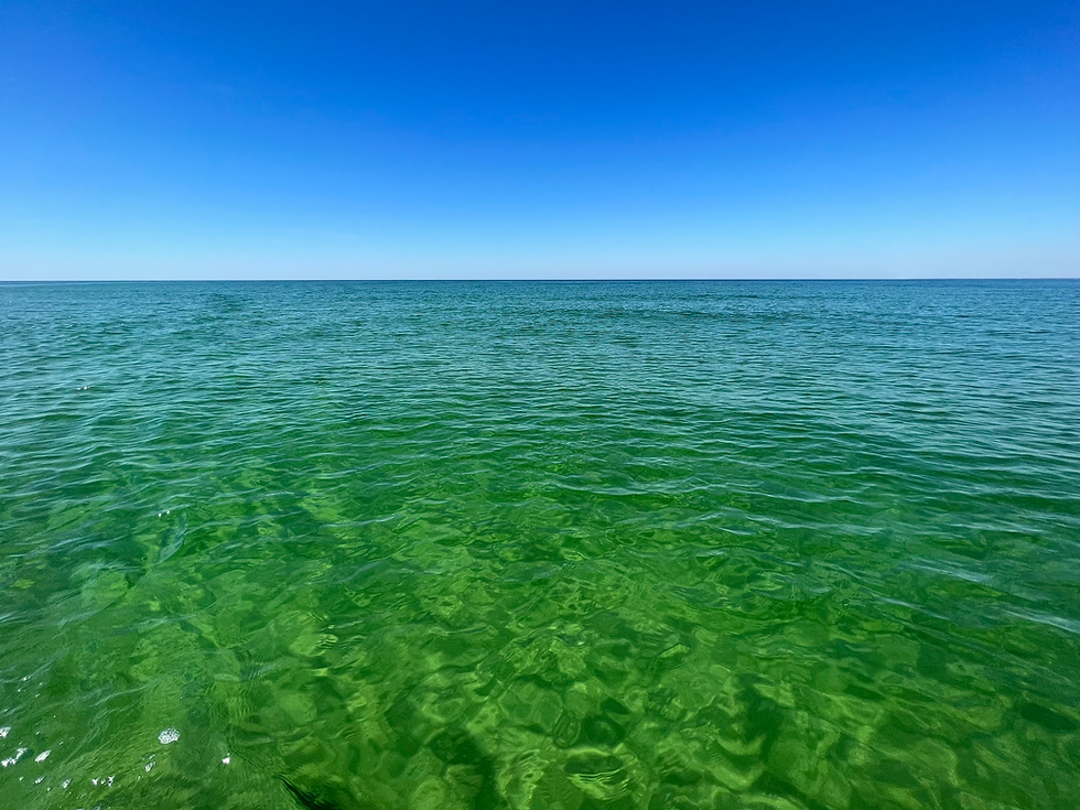 What To Do, Eat, and Discover in Cape San Blas and Port St. Joe, Florida!