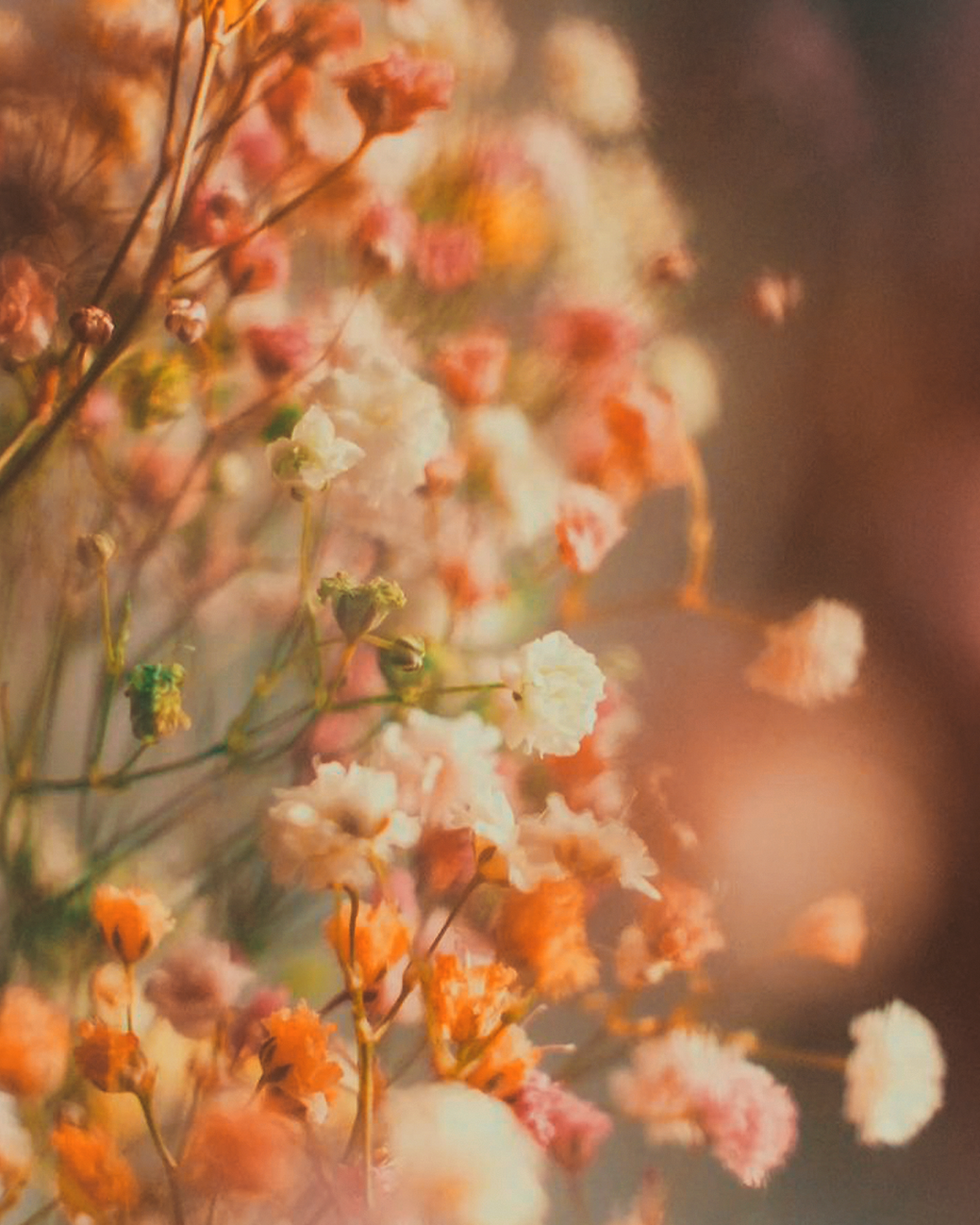 EASTER BACKGROUND.png