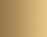 Flourishing Minds Website gold bk.png